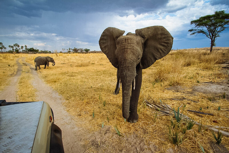 Amboseli National Park