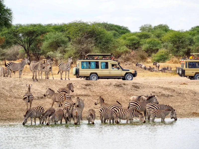 8-Day Tanzania Safari