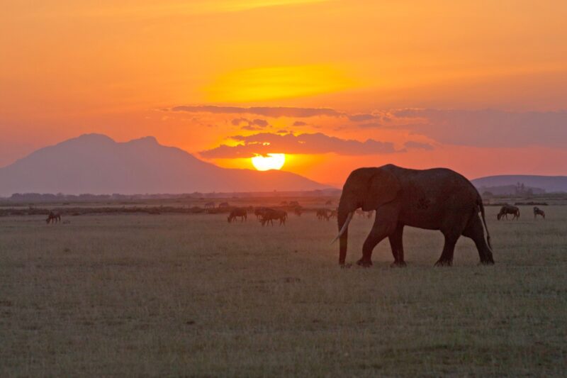 Tsavo East National Park