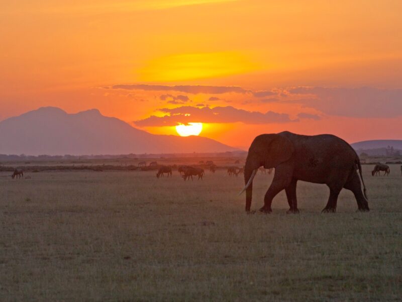 Tsavo East National Park