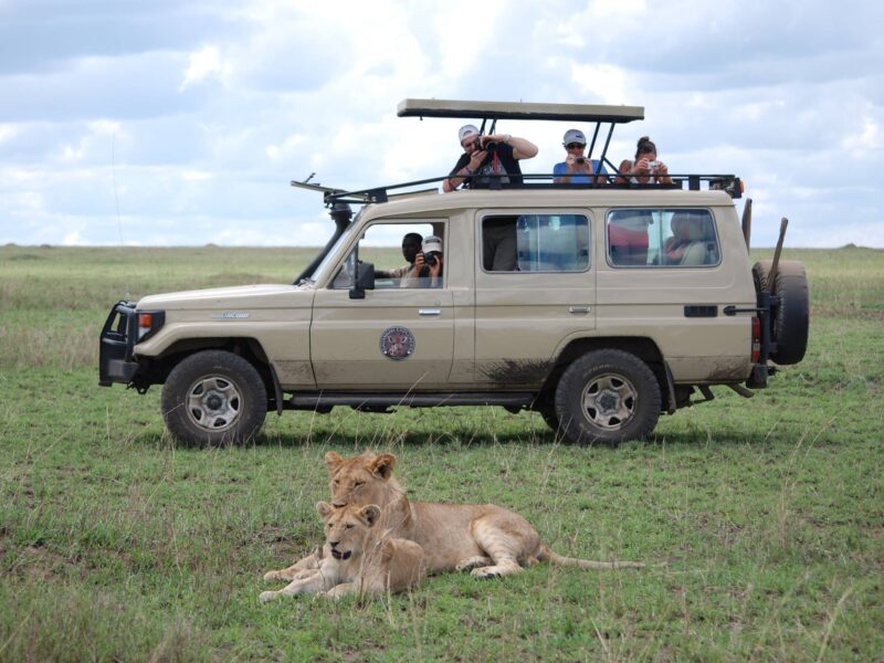 12-Day Tanzania Wildlife Safari