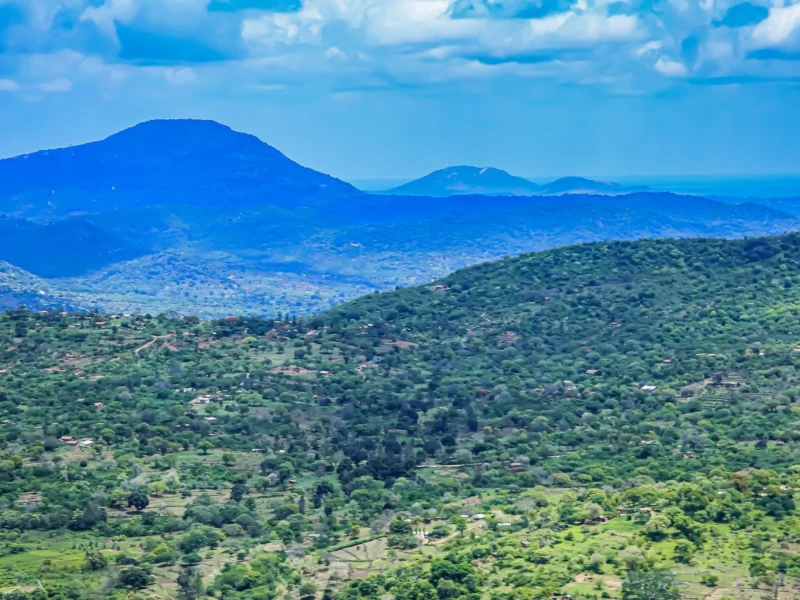 Taita Hills Wildlife Reserve