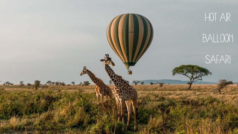 9-Day Tanzania Uganda Tour