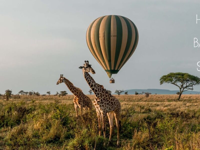 9-Day Tanzania Uganda Tour