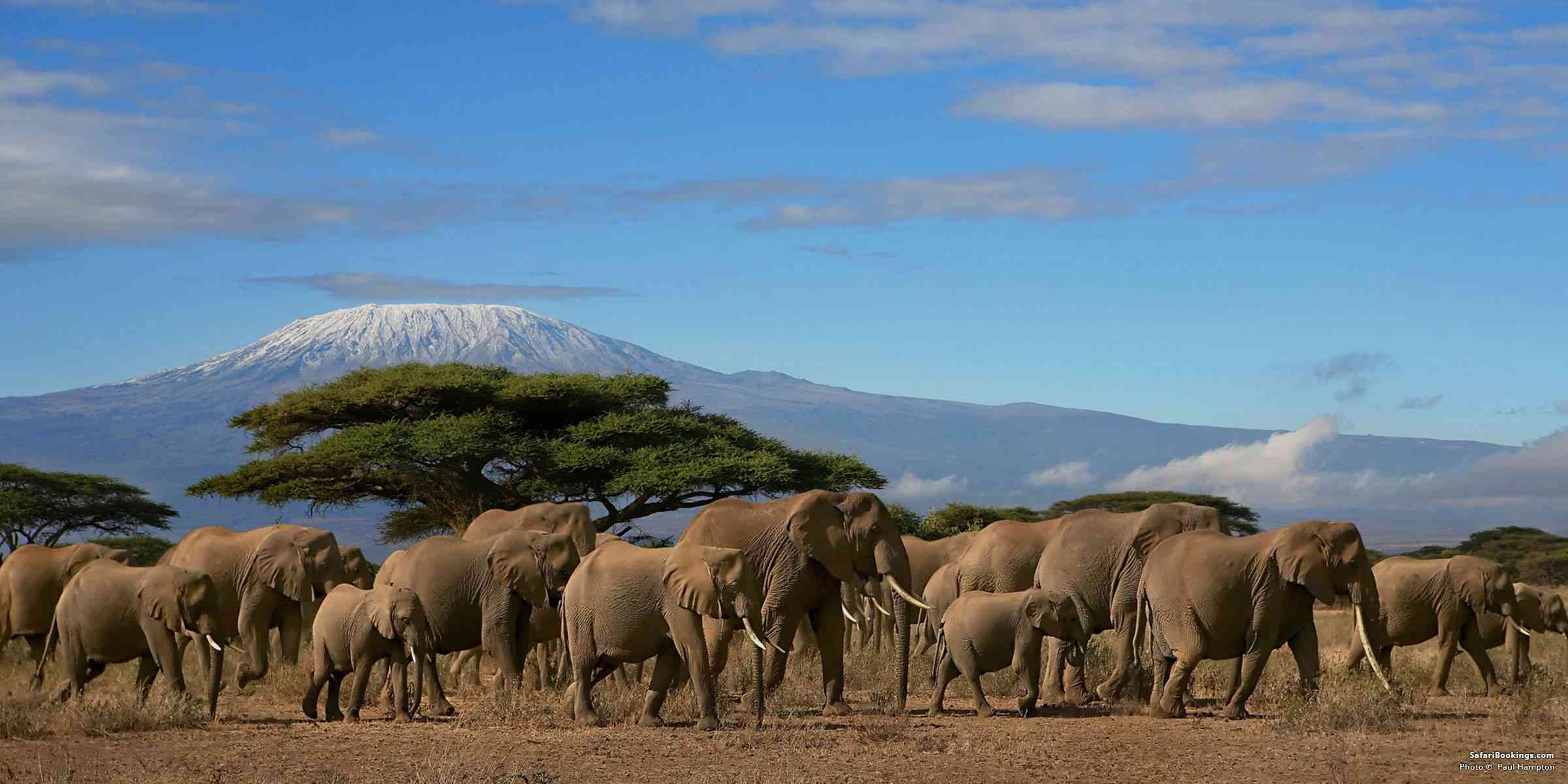 You are currently viewing Your First Safari: What to Expect and How to Prepare