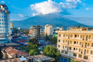 Read more about the article Urban Safari: Wildlife Encounters in Arusha City