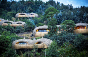 Read more about the article Exploring Lodges in Rwanda: Where Comfort Meets the Wild