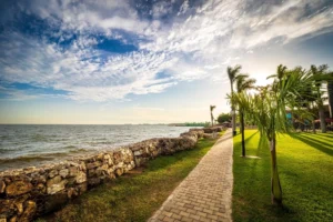 Read more about the article Entebbe: Laid-Back Lakeside Charm