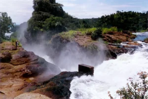 Read more about the article LODGES AROUND MURCHSION FALLS NATIONAL PARK