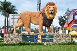 Read more about the article Fort Portal City: Uganda’s Magical Gateway to Adventure