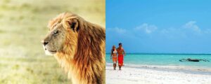 Read more about the article Beach & Bush: Combining a Safari with Kenya’s Coast