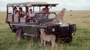 Read more about the article A First-Timer’s Guide to the Maasai Mara Safari Experience