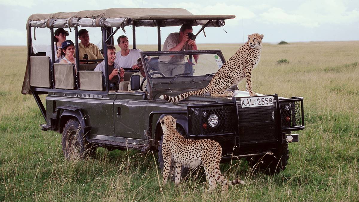 Read more about the article A First-Timer’s Guide to the Maasai Mara Safari Experience