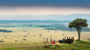Read more about the article “Masai Mara vs. Amboseli