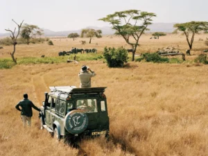 Read more about the article 10 Things Your Safari Guide Wishes You Knew Before the Trip