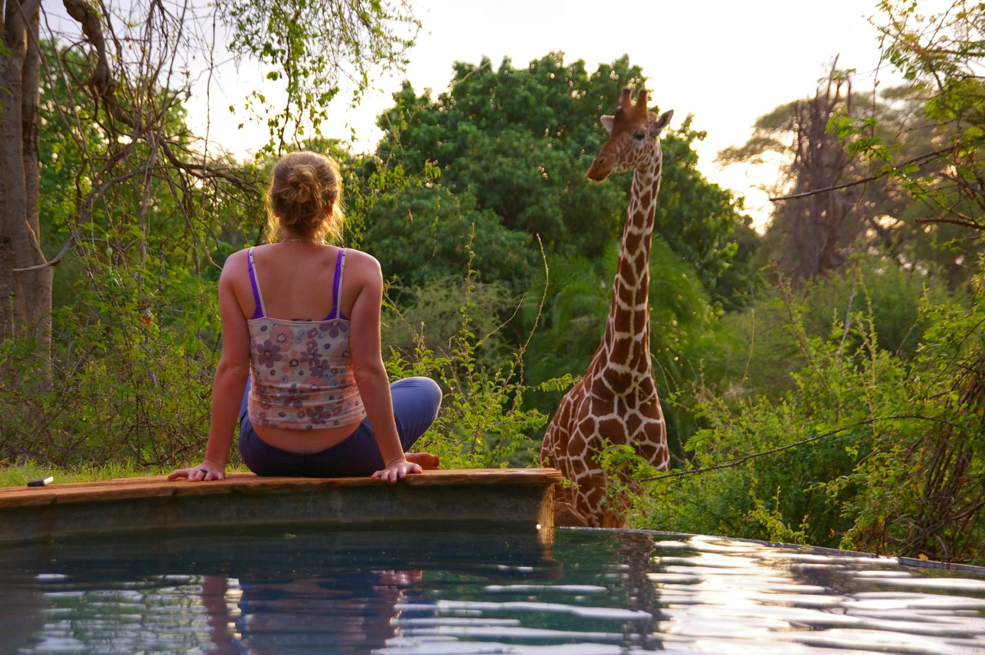 You are currently viewing Solo Travel in Kenya: Why It’s Safe, Worth It, and Life-Changing