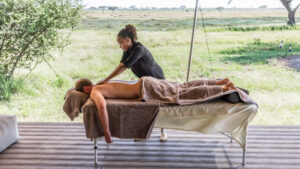 Read more about the article Wellness in the Wild: Mindful Travel and Safari Retreats