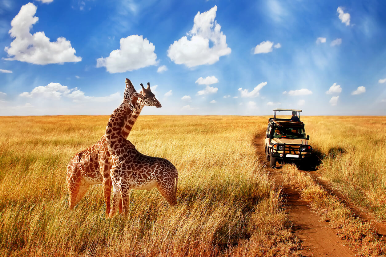 You are currently viewing Why Slow Safaris Are the Top Trend in 2025