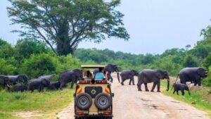 Read more about the article Is Uganda Safe to Visit in 2025/26?
