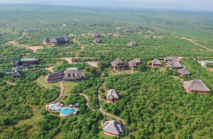 Read more about the article Exploring Midrange Lodges in Queen Elizabeth National Park