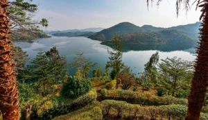 Read more about the article Planning to Visit Rwanda: What You Need to Know