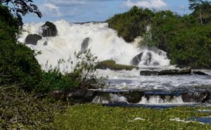 Read more about the article Discover Karuma Falls: Uganda’s Untamed River Jewel