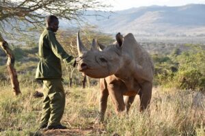 Read more about the article Ziwa Rhino Sanctuary