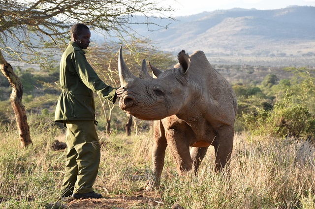 You are currently viewing Safari Etiquette: 7 Do’s & Don’ts in the Wild