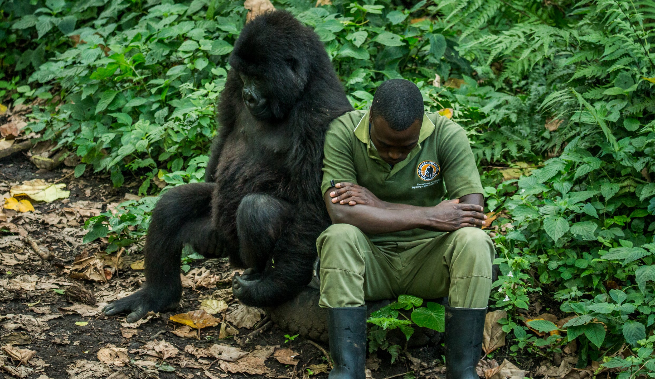 Read more about the article Eco-Warriors of the Wild