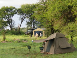 Read more about the article Camping on Safari.