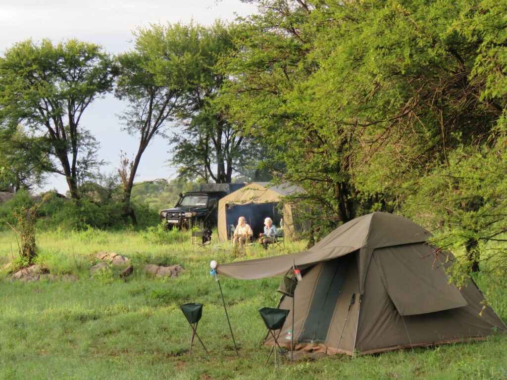 You are currently viewing Camping on Safari.