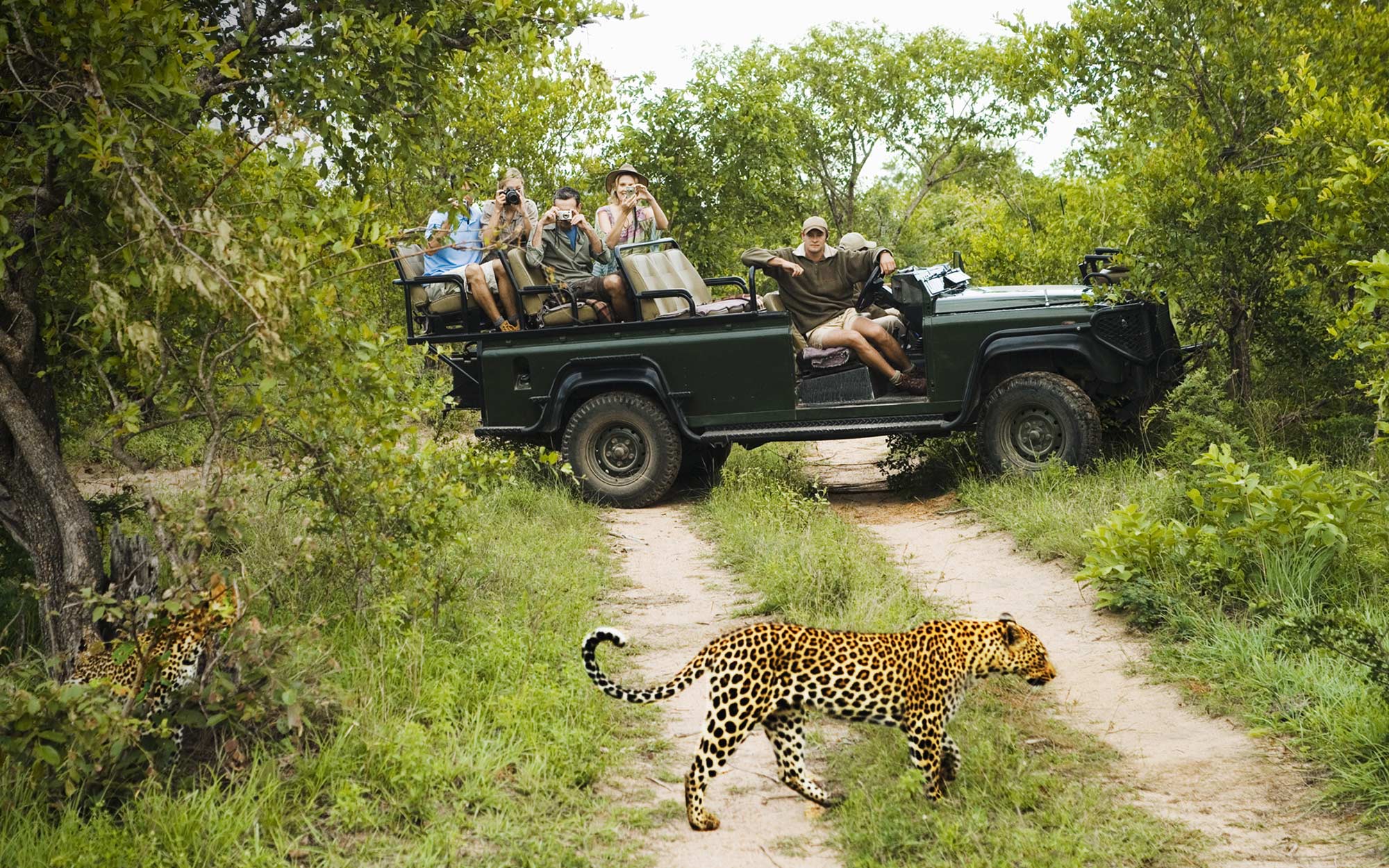 You are currently viewing Walking Safaris vs Game Drives: Which One’s Right for You?