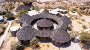 Read more about the article Safaris in Prehistoric East Africa