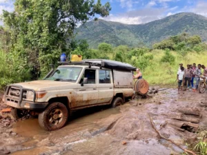 Read more about the article How to Handle a Safari Delay, Flat Tire, or Rainstorm Like a Pro