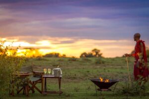 Read more about the article Celebrate Christmas, Eid, or Your Birthday on Safari: