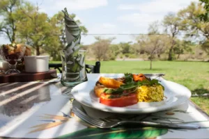 Read more about the article Halal, Vegan, and Gluten-Free on Safari: A Guide for Dietary Needs