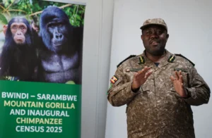 Read more about the article Chimpanzees Officially Confirmed in Bwindi (2025)