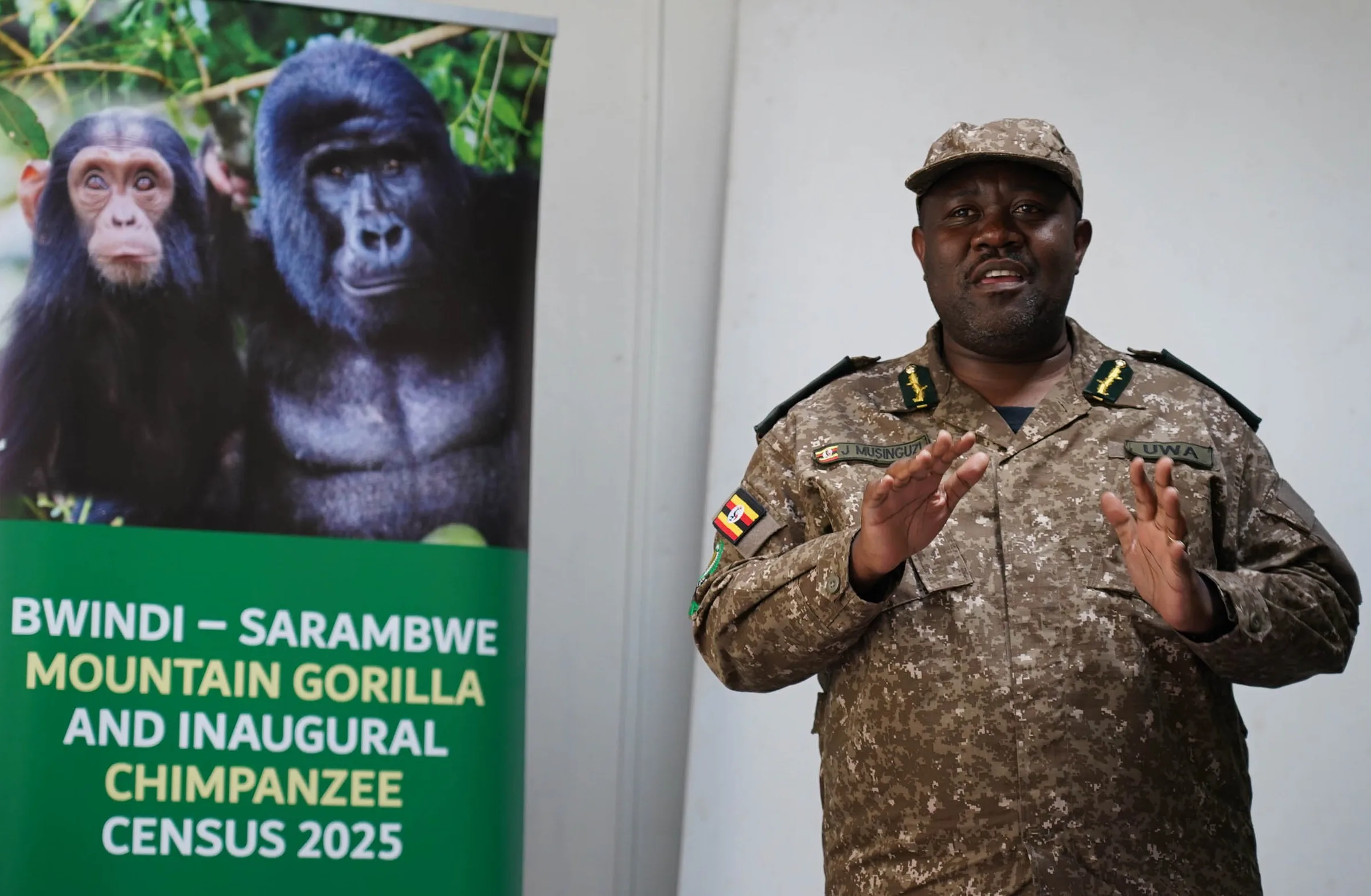 You are currently viewing Chimpanzees Officially Confirmed in Bwindi (2025)