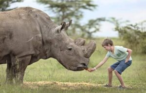 Read more about the article Kid Friendly Activities in East Africa on a Safari