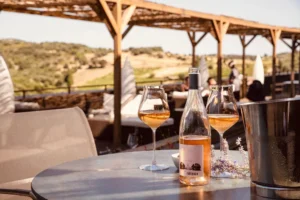 Read more about the article Wine Tasting Experience on a Safari