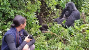 Read more about the article Top 5 Mistakes Travellers Make on Their First Gorilla Trek