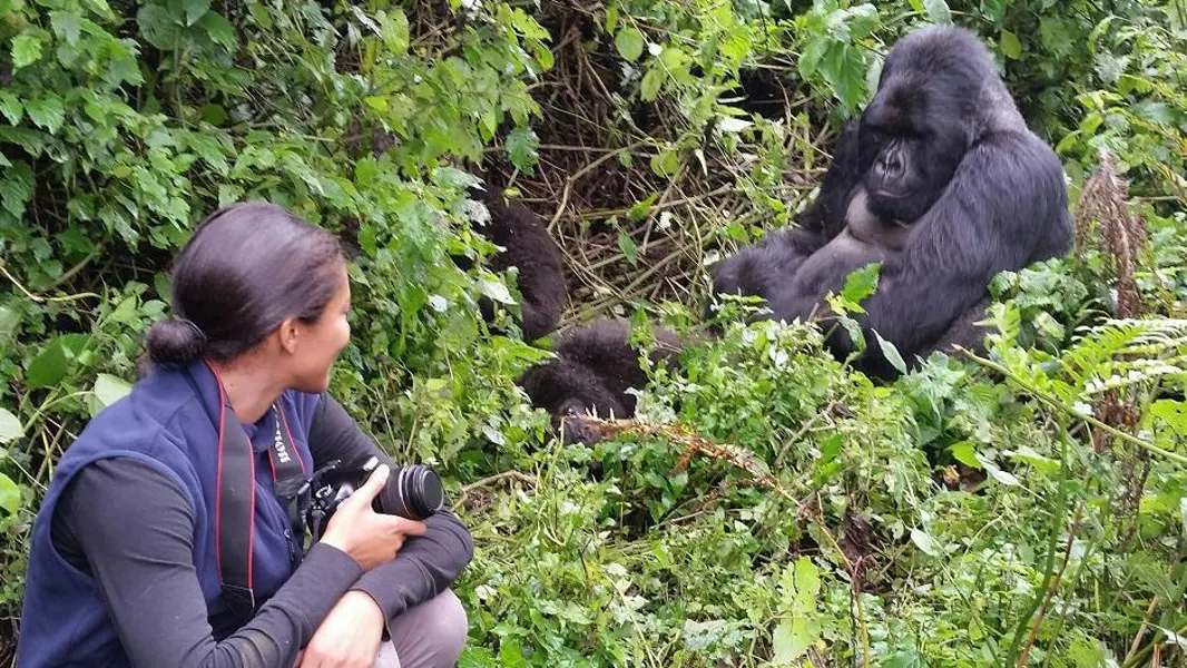 You are currently viewing Top 5 Mistakes Travellers Make on Their First Gorilla Trek