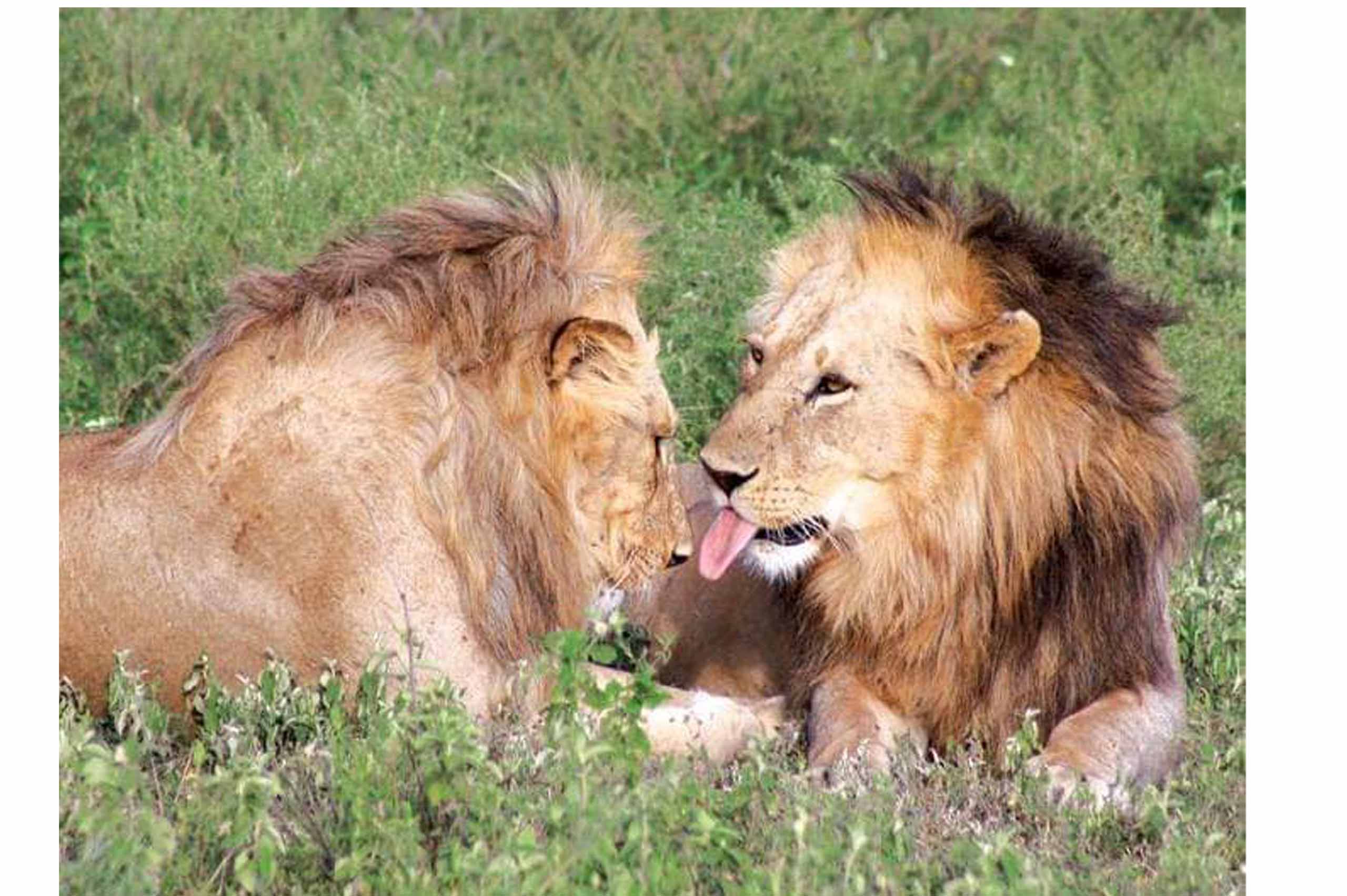 You are currently viewing Best East African Countries to Visit on a Budget: 2025 Guide