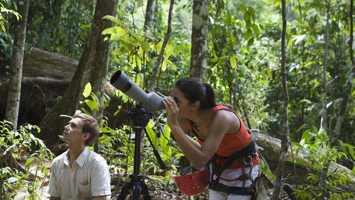 Read more about the article Birdwatching in Rwanda: A Paradise for Bird Lovers