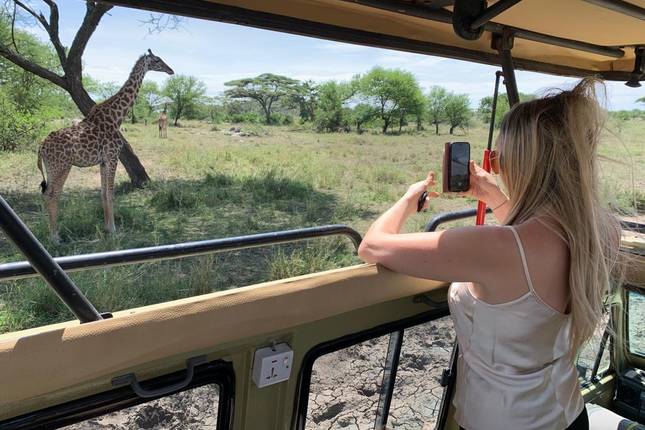 You are currently viewing Healing After Divorce: Finding Yourself Again on Safari