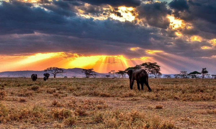 You are currently viewing Why Safari Sunsets in East Africa Hit Different