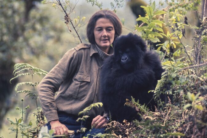 You are currently viewing Dian Fossey: The Woman Who Saved Rwanda’s Mountain Gorillas