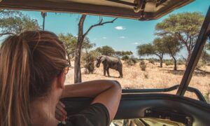Read more about the article Why Every Parent Deserves a Safari Break