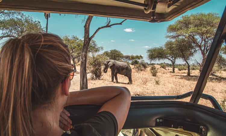 You are currently viewing Why Every Parent Deserves a Safari Break