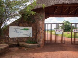 Read more about the article Akagera vs Queen Elizabeth: Which Park Gives More Value for Your Money?